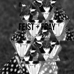 Feist + Fray