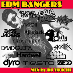EDM BANGERS DJ MIX