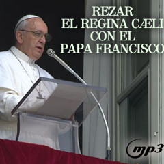 Rezar el Regina Caeli con el Papa Francisco