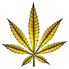 Aku Cover (seadanya)