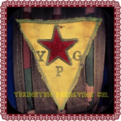 Yekîneyên Parastina Gel