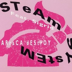 Steam System - Barraca Destroy (Muratore Re-Work Special Intro Mix)