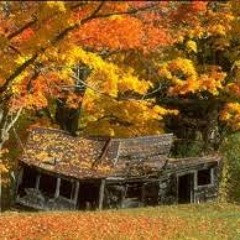 Freak@Newtown 2013/10/19