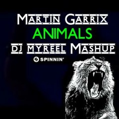 Martin Garrix Feat.Dj Myreel  – Animals (Mashup) 2013