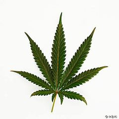 Something is missing