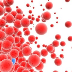 Hairspray 1977 - Royalty Free Music