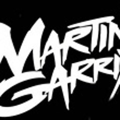 Martin Garrix - Crazy Animals (Vince-D Remix)