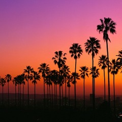 Palm Tree Transplants