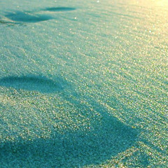 Too Much Artists - Sunspot Splint (DJ Rensz Sun Shiver Smash)