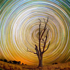 PREVIEW Psylloween party 31/10/13