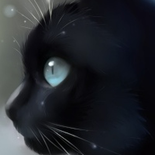 A Light In Cat's Eyes