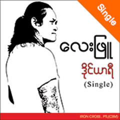 အႏွစ္သက္ဆံုး