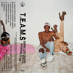 T.E.A.M.S - Hatsumi