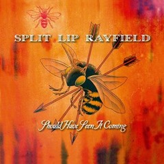 "Should Have Seen It Coming" by Split Lip Rayfield