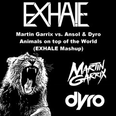 Martin Garrix vs. Ansol & Dyro - Animals on top of the world (EXHALE Mashup)