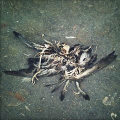 Ambiente Für Alles #01