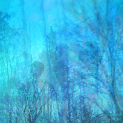 I Can Feel It In My Bones