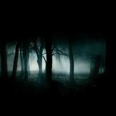 THE MAN IN THE WOODS