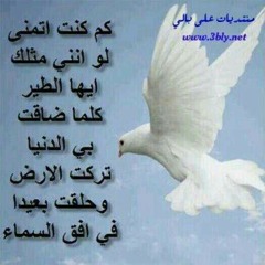 خالد الراشد - انها جنان