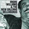 "Never Had a Problem" by Andre Williams and the New Orleans Hellhounds artwork