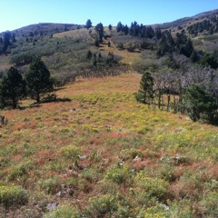 Ray & Jason - High Mountain Blues