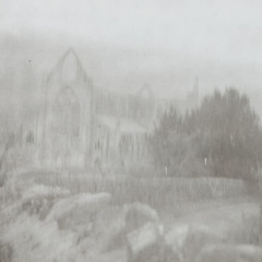 VII [disquiet0095-discussamongst]