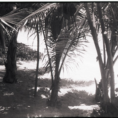 itongeidee13