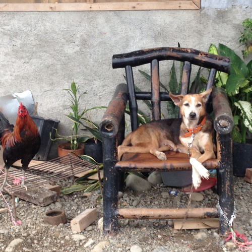 A taste of Cherry ( Original Mix )