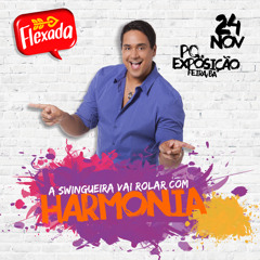 A Nova Paradinha (2013) Ao Vivo