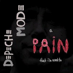 Brian Fadeway -  A Pain That I'm Used To (Depeche Mode cover)