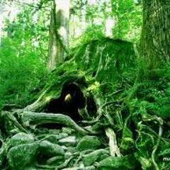 Green (Demo)