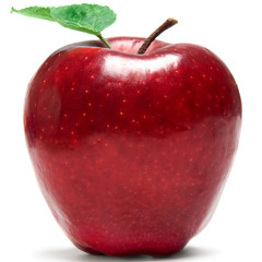 Giấc Mơ Tuyết Trắng