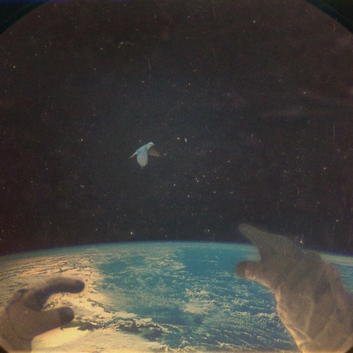 Bulb – Lonely Gravity