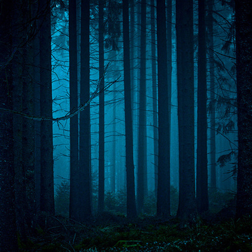 Mystical Forest