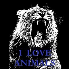 Martin Garrix vs Icona Pop vs Dimitri Vegas & Like Mike - I Love Animals (Loony Monx MashUp)