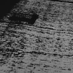 Areas of Presence: material/highlight (2013)