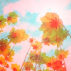 The End Of The Beginning