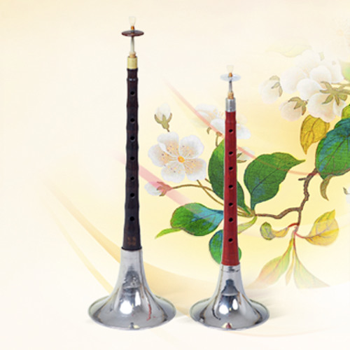 Suona instrument 2024