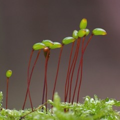 TJ Hookah Chill Till 97 pt2