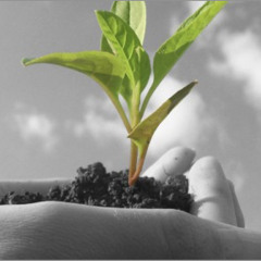 20 - and i'd be wise