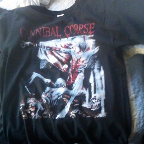 Metallica metal militia