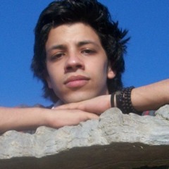 مهرجان سيدى بشر الارض الحرة و زياد الارانى الصفحه الرسميه للاستديو النجوم