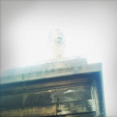 Fatalité xtract _01