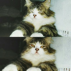 Especially For You - MYMP (Cover By AzkaChaira)