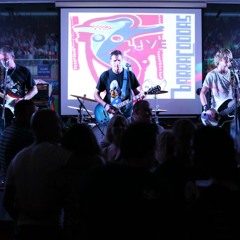 BarraCoodas - Like A Hurricane