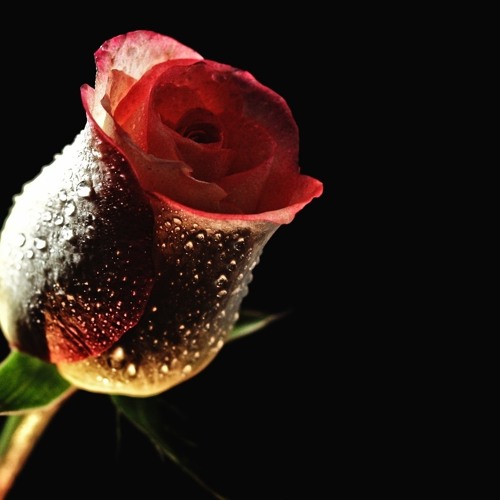 Stream Mrwillie Listen to Jamie Foxx Blame It (On The Alcohol) ft