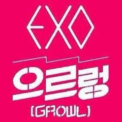 EXO GROWL COVER BY FAYE & PATRICIA