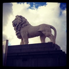 Hopeless Wanderer (Mumford and Sons)