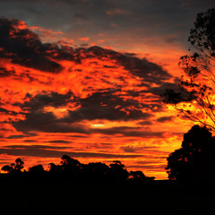 Donnie Dubson - Transition