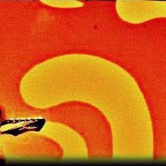 Szegény, Te Szegény